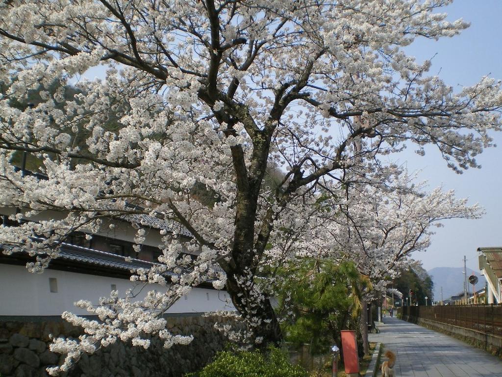 Terakoya Hanatei Asago Luaran gambar